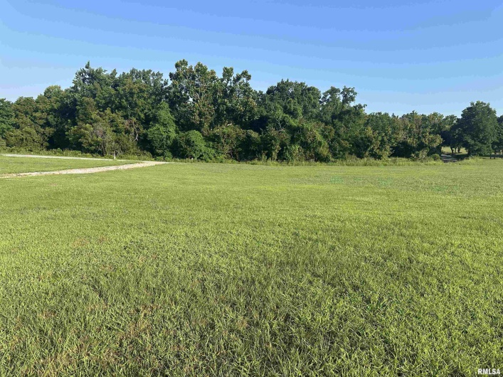 140 Alto Pass Road, Pomona, Illinois 62975, 0 , 0 ,0,Land,For Sale,Alto Pass,0,RMAEB459181