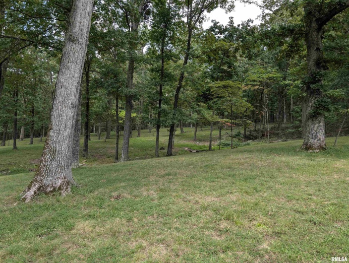 1400 Womble Road, Harrisburg, Illinois 62946, 3 Bedrooms Bedrooms, 0 ,2 BathroomsBathrooms,Residential,For Sale,Womble,0,RMAQC4266197