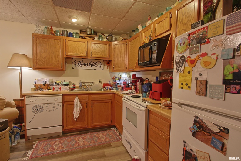 200 WOODS Lane, Anna, Illinois 62906, 0 , 0 ,0,Residential Income,For Sale,WOODS,0,RMAEB459206