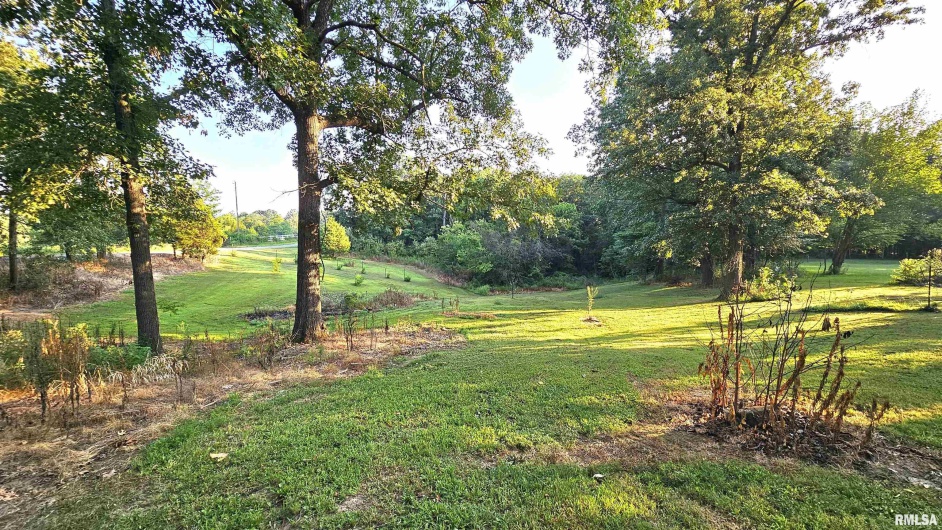 15718 MALONE Road, Thompsonville, Illinois 62890, 0 , 0 ,0,Land,For Sale,MALONE,0,RMAEB459216