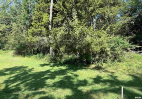 000 Thebes Way, Creal Springs, Illinois 62922, 0 , 0 ,0,Land,For Sale,Thebes,0,RMAEB459239