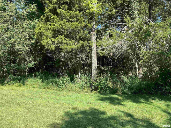 000 Thebes Way, Creal Springs, Illinois 62922, 0 , 0 ,0,Land,For Sale,Thebes,0,RMAEB459239