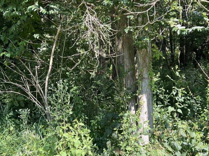 000 Thebes Way, Creal Springs, Illinois 62922, 0 , 0 ,0,Land,For Sale,Thebes,0,RMAEB459239
