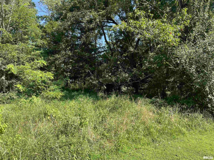 000 Thebes Way, Creal Springs, Illinois 62922, 0 , 0 ,0,Land,For Sale,Thebes,0,RMAEB459239
