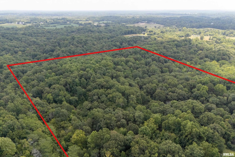 2 Jungle Road, Murphysboro, Illinois 62966, 2 Bedrooms Bedrooms, 0 ,1 BathroomBathrooms,Residential,For Sale,Jungle,0,RMAEB459253