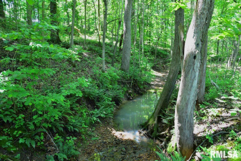 000 MIDWAY Road, Metropolis, Illinois 62960, 0 , 0 ,0,Land,For Sale,MIDWAY,0,RMACA1038530