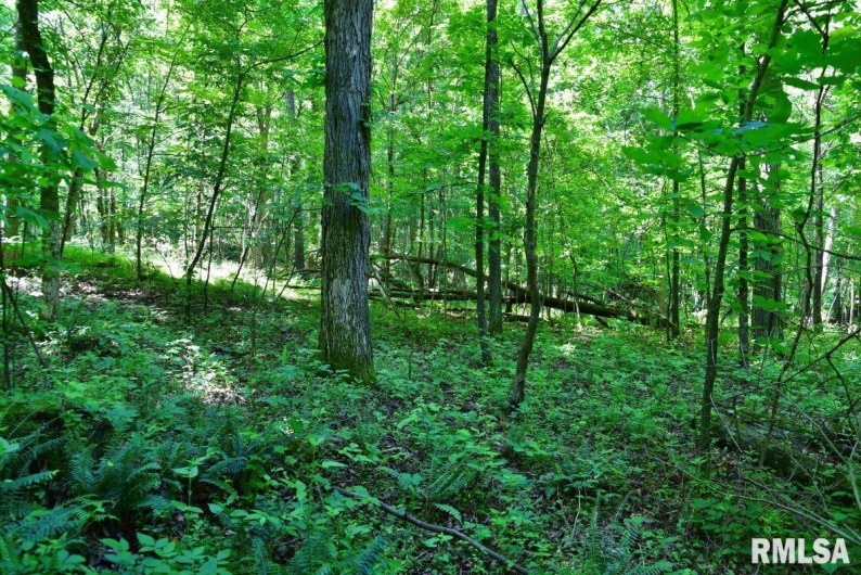 000 MIDWAY Road, Metropolis, Illinois 62960, 0 , 0 ,0,Land,For Sale,MIDWAY,0,RMACA1038530