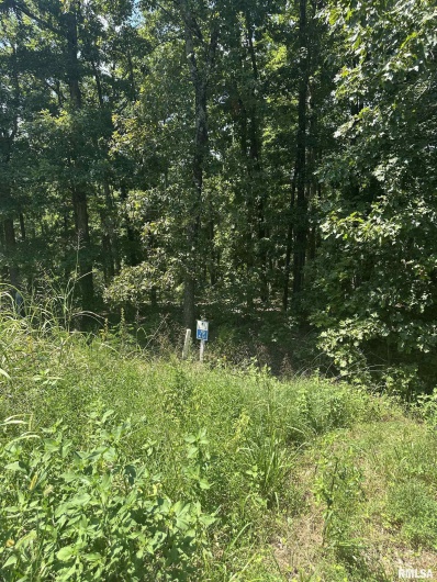 00 HAWTHORNE Point, Goreville, Illinois 62939, 0 , 0 ,0,Land,For Sale,HAWTHORNE,0,RMAQC4266474