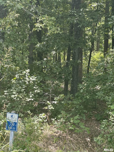 00 HAWTHORNE Point, Goreville, Illinois 62939, 0 , 0 ,0,Land,For Sale,HAWTHORNE,0,RMAQC4266474