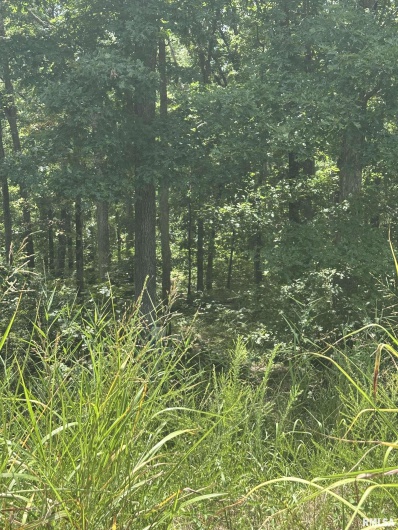 00 HAWTHORNE Point, Goreville, Illinois 62939, 0 , 0 ,0,Land,For Sale,HAWTHORNE,0,RMAQC4266474