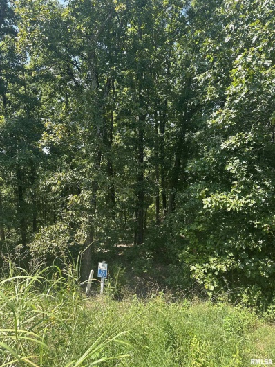 00 HAWTHORNE Point, Goreville, Illinois 62939, 0 , 0 ,0,Land,For Sale,HAWTHORNE,0,RMAQC4266474
