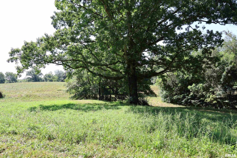 3905 Lick Creek Road, Anna, Illinois 62906, 2 Bedrooms Bedrooms, 0 ,0,Land,For Sale,Lick Creek,0,RMAEB459330
