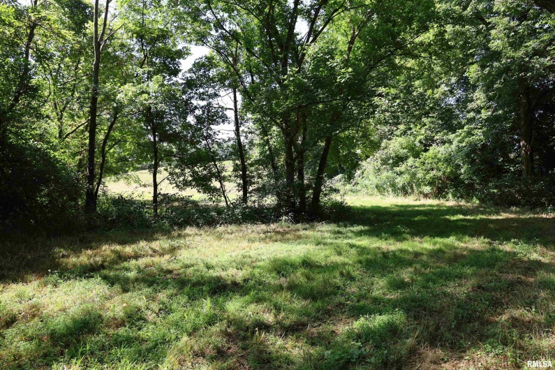 3905 Lick Creek Road, Anna, Illinois 62906, 2 Bedrooms Bedrooms, 0 ,0,Land,For Sale,Lick Creek,0,RMAEB459330