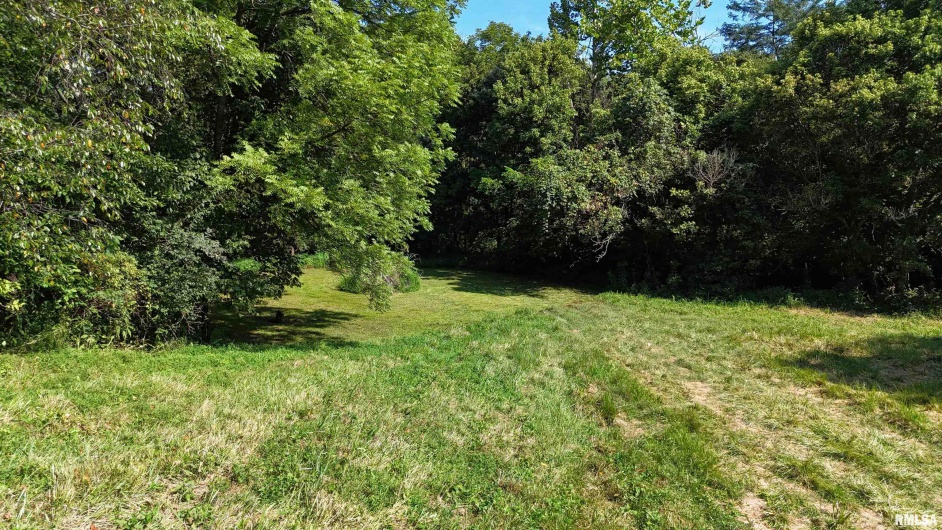 3905 Lick Creek Road, Anna, Illinois 62906, 2 Bedrooms Bedrooms, 0 ,0,Land,For Sale,Lick Creek,0,RMAEB459330