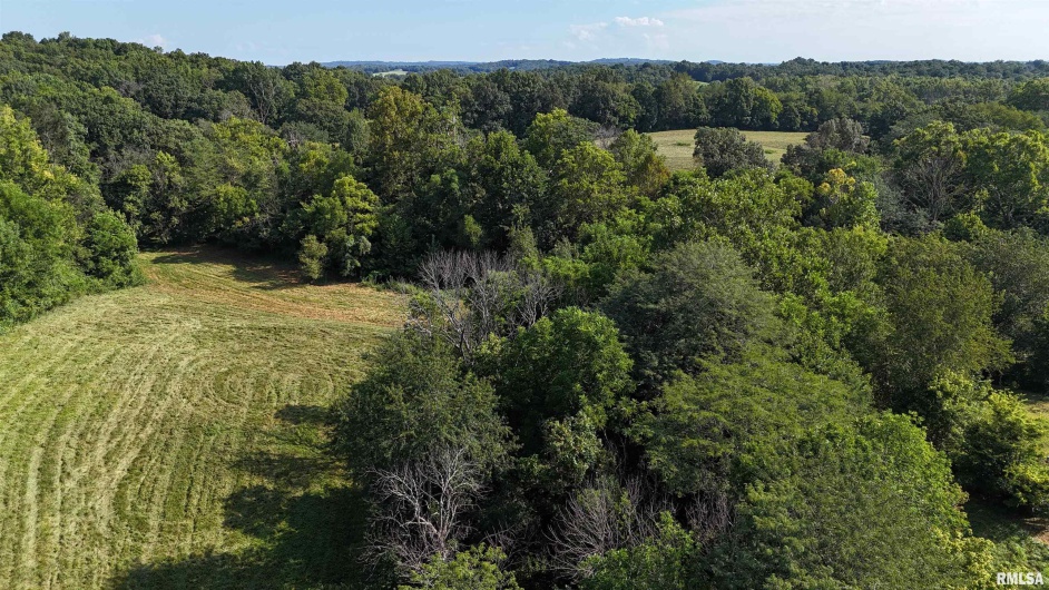 3905 Lick Creek Road, Anna, Illinois 62906, 2 Bedrooms Bedrooms, 0 ,0,Land,For Sale,Lick Creek,0,RMAEB459330