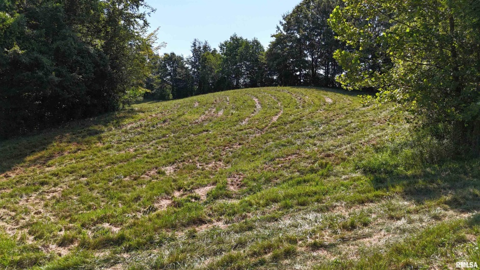 3905 Lick Creek Road, Anna, Illinois 62906, 2 Bedrooms Bedrooms, 0 ,0,Land,For Sale,Lick Creek,0,RMAEB459330