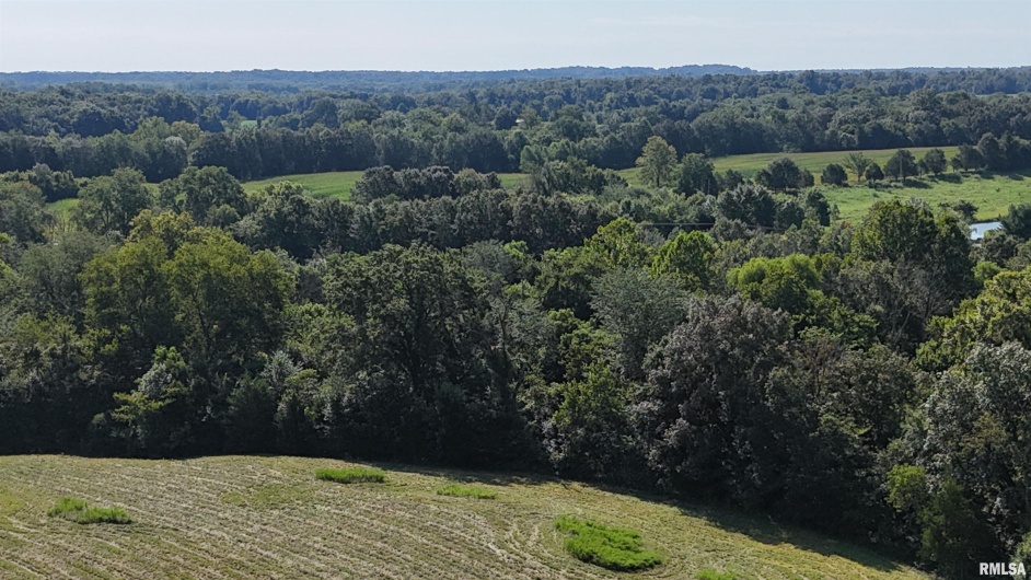 3905 Lick Creek Road, Anna, Illinois 62906, 2 Bedrooms Bedrooms, 0 ,0,Land,For Sale,Lick Creek,0,RMAEB459330
