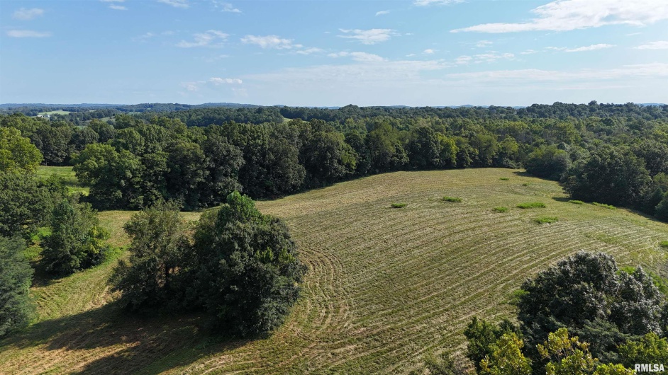 3905 Lick Creek Road, Anna, Illinois 62906, 2 Bedrooms Bedrooms, 0 ,0,Land,For Sale,Lick Creek,0,RMAEB459330