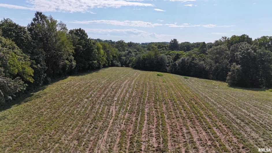 3905 Lick Creek Road, Anna, Illinois 62906, 2 Bedrooms Bedrooms, 0 ,0,Land,For Sale,Lick Creek,0,RMAEB459330