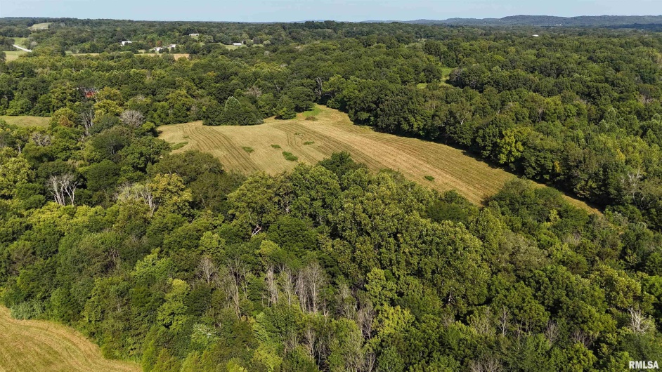 3905 Lick Creek Road, Anna, Illinois 62906, 2 Bedrooms Bedrooms, 0 ,0,Land,For Sale,Lick Creek,0,RMAEB459330