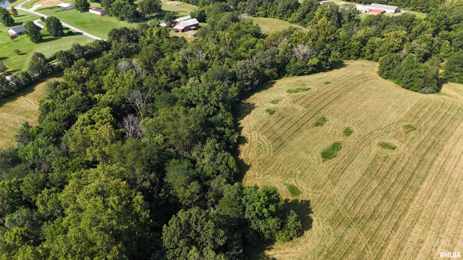 3905 Lick Creek Road, Anna, Illinois 62906, 2 Bedrooms Bedrooms, 0 ,0,Land,For Sale,Lick Creek,0,RMAEB459330