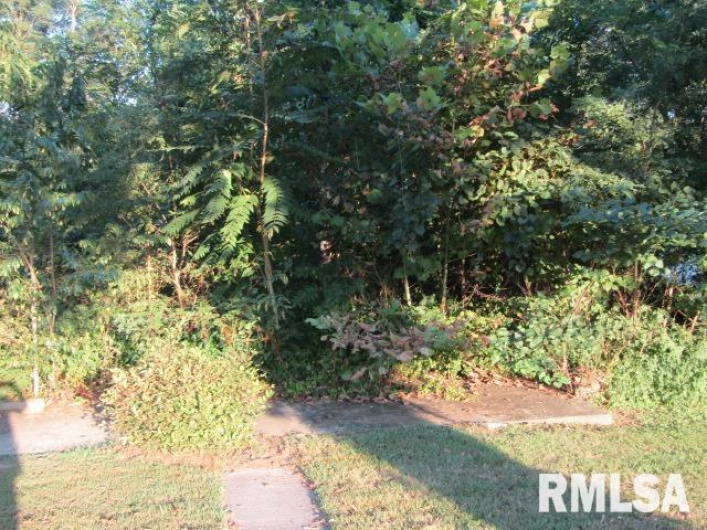 1506 HILLSIDE Road, Rosiclare, Illinois 62982, 2 Bedrooms Bedrooms, 0 ,1 BathroomBathrooms,Residential,For Sale,HILLSIDE,0,RMAEB459339