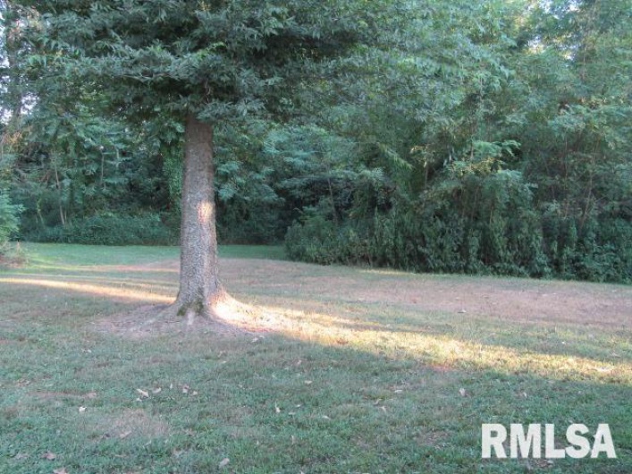1506 HILLSIDE Road, Rosiclare, Illinois 62982, 2 Bedrooms Bedrooms, 0 ,1 BathroomBathrooms,Residential,For Sale,HILLSIDE,0,RMAEB459339