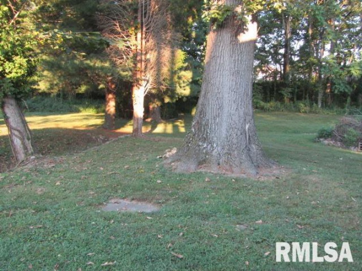 1506 HILLSIDE Road, Rosiclare, Illinois 62982, 2 Bedrooms Bedrooms, 0 ,1 BathroomBathrooms,Residential,For Sale,HILLSIDE,0,RMAEB459339