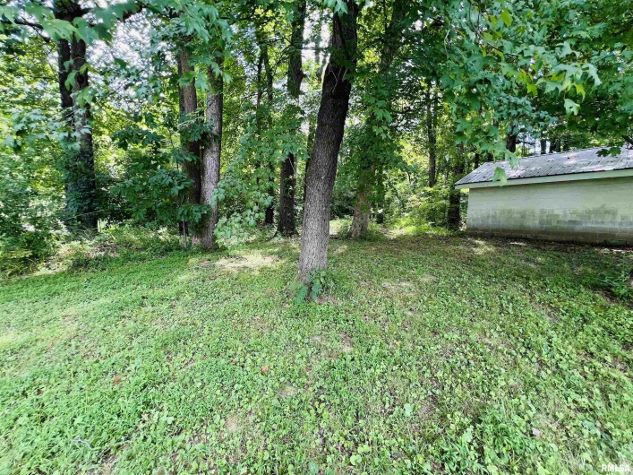 366 IL Route 1 Route, Cave In Rock, Illinois 62919, 0 , 0 ,0,Commercial Sale,For Sale,IL Route 1,0,RMAEB459349
