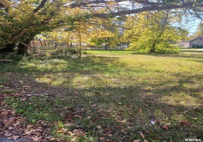 1420 POPLAR Street, Murphysboro, Illinois 62966, 0 , 0 ,0,Land,For Sale,POPLAR,0,RMAQC4266586