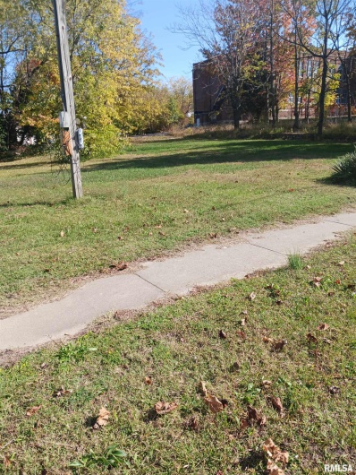 1420 POPLAR Street, Murphysboro, Illinois 62966, 0 , 0 ,0,Land,For Sale,POPLAR,0,RMAQC4266586