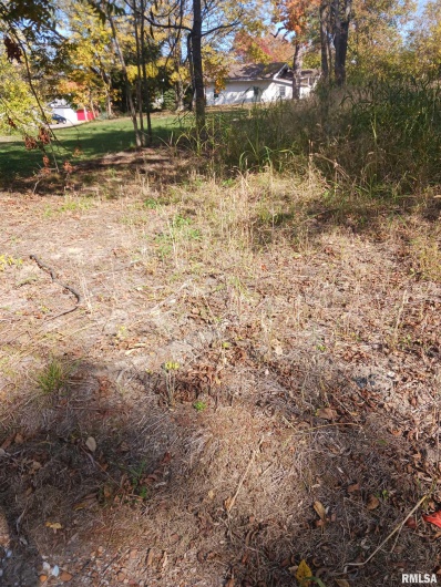 1420 POPLAR Street, Murphysboro, Illinois 62966, 0 , 0 ,0,Land,For Sale,POPLAR,0,RMAQC4266586
