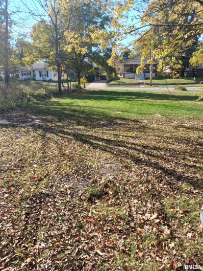 1420 POPLAR Street, Murphysboro, Illinois 62966, 0 , 0 ,0,Land,For Sale,POPLAR,0,RMAQC4266586