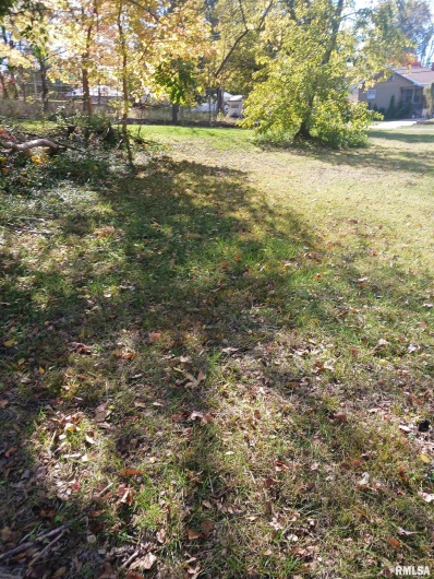 1420 POPLAR Street, Murphysboro, Illinois 62966, 0 , 0 ,0,Land,For Sale,POPLAR,0,RMAQC4266586