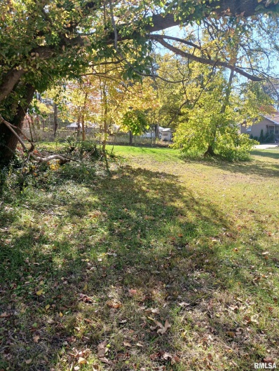 1420 POPLAR Street, Murphysboro, Illinois 62966, 0 , 0 ,0,Land,For Sale,POPLAR,0,RMAQC4266586