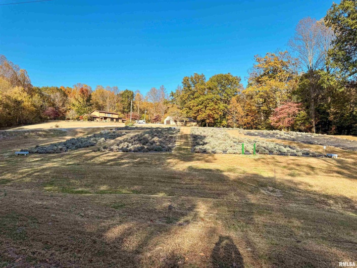 480 Brown Section Road, Cobden, Illinois 62920, 3 Bedrooms Bedrooms, 0 ,2 BathroomsBathrooms,Residential,For Sale,Brown Section,0,RMAEB459385