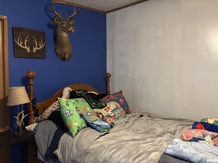 7725 US Hwy 51 S, Dongola, Illinois 62926, 4 Bedrooms Bedrooms, 0 ,2 BathroomsBathrooms,Residential,For Sale,US Hwy 51 S,0,RMAEB459024