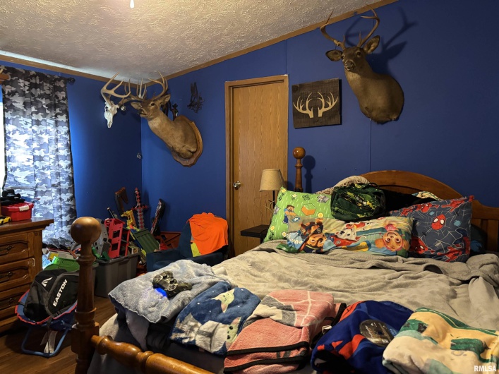 7725 US Hwy 51 S, Dongola, Illinois 62926, 4 Bedrooms Bedrooms, 0 ,2 BathroomsBathrooms,Residential,For Sale,US Hwy 51 S,0,RMAEB459024