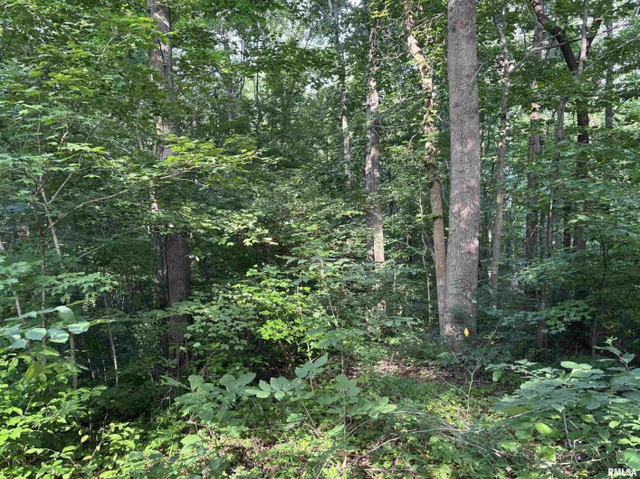 7725 US Hwy 51 S, Dongola, Illinois 62926, 4 Bedrooms Bedrooms, 0 ,2 BathroomsBathrooms,Residential,For Sale,US Hwy 51 S,0,RMAEB459024