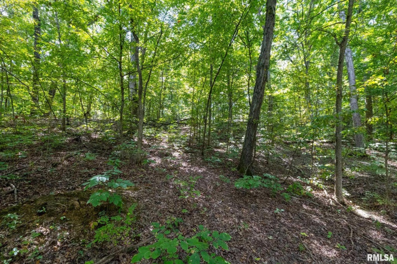 14 Bushwack Cutoff Road, Golconda, Illinois 62938, 2 Bedrooms Bedrooms, 0 ,1 BathroomBathrooms,Residential,For Sale,Bushwack Cutoff,0,RMACA1038746
