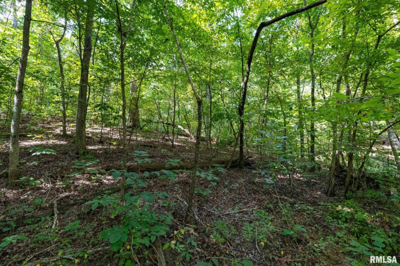 14 Bushwack Cutoff Road, Golconda, Illinois 62938, 2 Bedrooms Bedrooms, 0 ,1 BathroomBathrooms,Residential,For Sale,Bushwack Cutoff,0,RMACA1038746