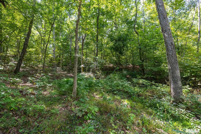 14 Bushwack Cutoff Road, Golconda, Illinois 62938, 2 Bedrooms Bedrooms, 0 ,1 BathroomBathrooms,Residential,For Sale,Bushwack Cutoff,0,RMACA1038746