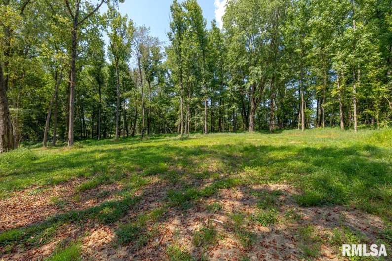 6445 State Route 146 E Highway, Vienna, Illinois 62995, 3 Bedrooms Bedrooms, 0 ,2 BathroomsBathrooms,Residential,For Sale,State Route 146 E,0,RMACA1038747