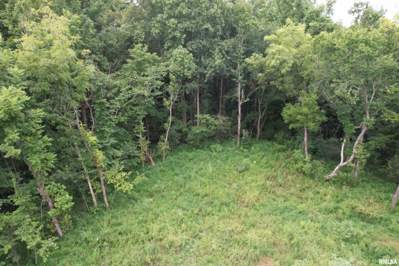 4576 BENTON Road, Metropolis, Illinois 62960, 0 , 0 ,0,Land,For Sale,BENTON,0,RMAEB459437