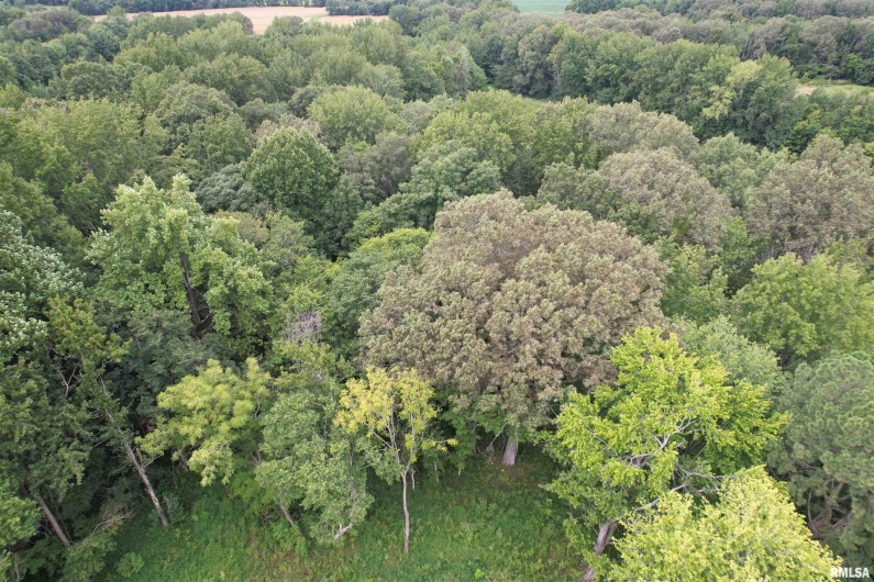 4576 BENTON Road, Metropolis, Illinois 62960, 0 , 0 ,0,Land,For Sale,BENTON,0,RMAEB459437