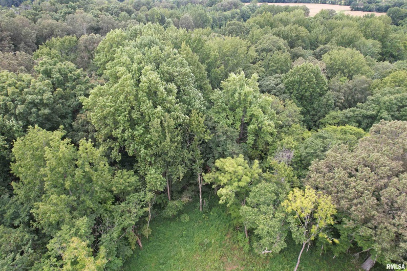 4576 BENTON Road, Metropolis, Illinois 62960, 0 , 0 ,0,Land,For Sale,BENTON,0,RMAEB459437