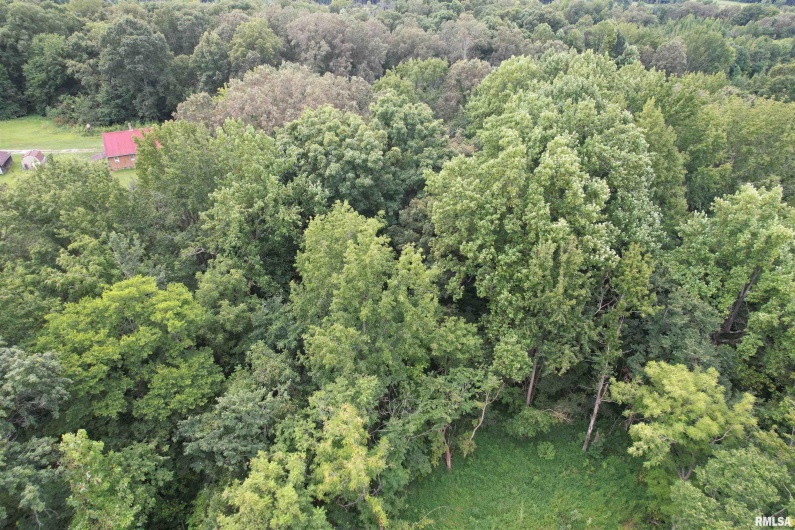 4576 BENTON Road, Metropolis, Illinois 62960, 0 , 0 ,0,Land,For Sale,BENTON,0,RMAEB459437