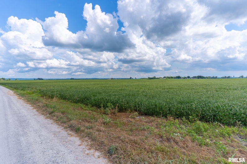 0000 Highway 146, McClure, Illinois 62957, 0 , 0 ,0,Land,For Sale,Highway 146,0,RMACA1038774