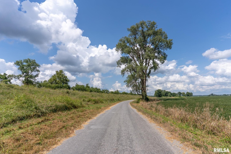 0000 Highway 146, McClure, Illinois 62957, 0 , 0 ,0,Land,For Sale,Highway 146,0,RMACA1038774