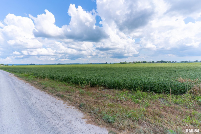 0000 Highway 146, McClure, Illinois 62957, 0 , 0 ,0,Land,For Sale,Highway 146,0,RMACA1038774